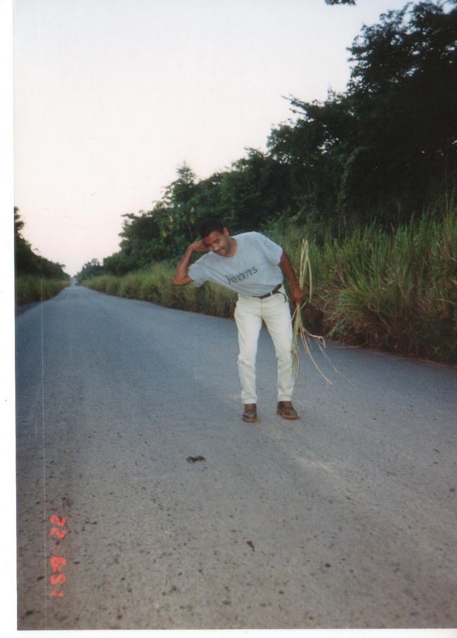 タランチュラ発見