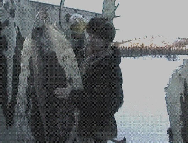 ソリ滑り用のアザラシの皮。　丈夫で温かそうで。　一枚、敷物用にいただいて帰りたかった。