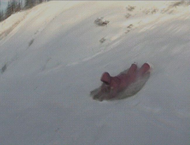 日照時間のわずかな日中に、アザラシの皮を使った、ソリ滑りなど、カナダ体験ツアーで楽しみました。　皮の上に腹ばいになって、小高い丘の上から、頭の方から滑り落ちます。　かなりのスピードで出て、恐怖心とスリル感で、病み付きになってしまいます。（笑）