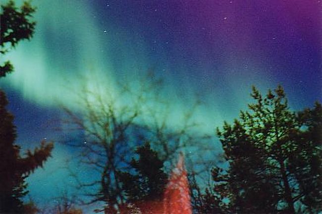 コテージの窓から見たオーロラは、なかなか幻想的に見えました。