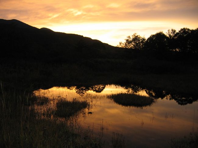 一泊目は岩木山の嶽温泉の予定だったのですが、到着時間が大幅に遅れてしまったので、急遽三沢空港から近い八甲田温泉へ宿泊地へ変更。<br />八甲田温泉は八甲田山の東側の田代平高原にある温泉です<br />早速夕暮れの田代平の湿原を散歩しました