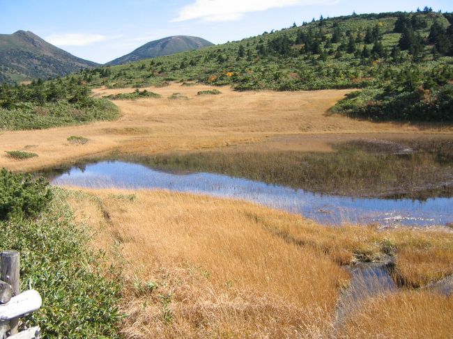 山頂駅付近の６０分散策コースを歩く。<br />８０代のおばあちゃんには少しきつかったようです･･･<br /><br />くさもみじ？です！