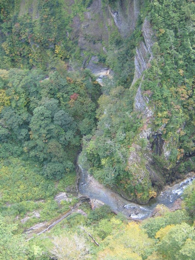 橋の上から下を覗くとこんなかんじ。<br />すこし黄色く色づいていました。