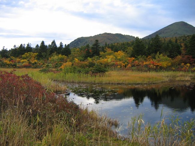 続いて、八甲田の名所「睡蓮沼」へ<br />やった〜紅葉してる･･･<br />感動･･･
