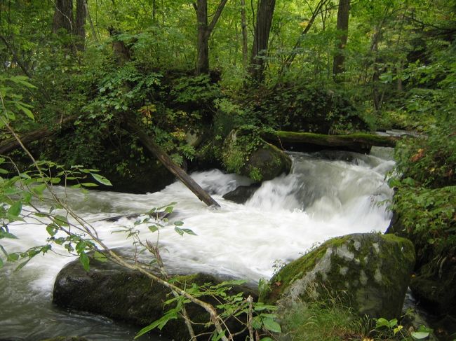 最終日は朝から奥入瀬渓流へ<br />土日は９時〜１８時までマイカー規制で車が入れないので朝大急ぎで準備して、９時までに出発！