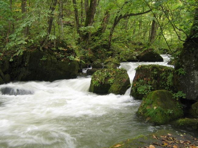 台風の影響で水量が多く、渓流というよりは濁流といった感じは否めませんでしたが、それでも雰囲気は楽しめました。<br />マイナスイオンをしっかり吸って、大阪へ帰りました