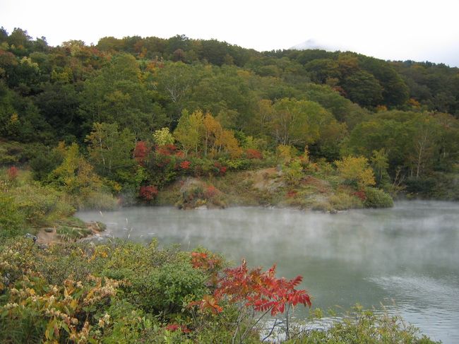 ここはまんじゅうふかしと国道を隔てた反対側にある酸ヶ湯近くにある沼。<br />爆裂火口の跡だそうで、１００℃近くあるそうで湯気があがっています。（わかるかしら？）<br />硫黄のにおいが充満していました