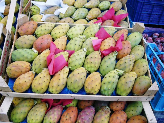 珍しいサボテンの実です