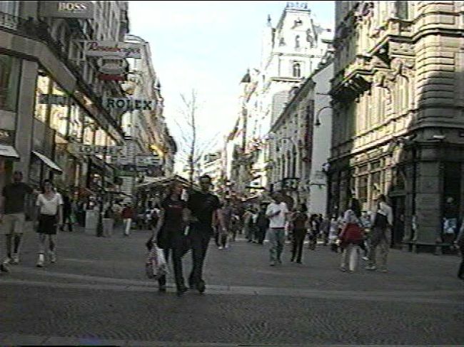 訪ねたいのは、観覧車とラストシーンに出てきた中央墓地の並木道である。<br />恋人の葬儀を終えたアリダバリが、待ち受ける友人ジョセフコットンを、これ以上はない非情さで無視し、歩き去ってゆくというラストシーンは、「太陽がいっぱい」「ニューシネマパラダイス」と並ぶ、私の選ぶベストラストシーンでもある。<br />ワンチャンスあるとしたら、二日目の夕刻からの自由時間である。私はかみさんを誘ってみたが「映画オタクみたいに、コケの生えたような映画の遺跡見物はゴメン」とあっさり拒否された。仕方なく当初の予定通り、シェーンブルン宮殿で催されたウイーンナワルツのコンサート鑑賞にでかけた。それはそれで本場の匂いを嗅ぎ、意義ある一夜ではあったが、あきらめきれない私は、最後のあがきをすることにした。<br />