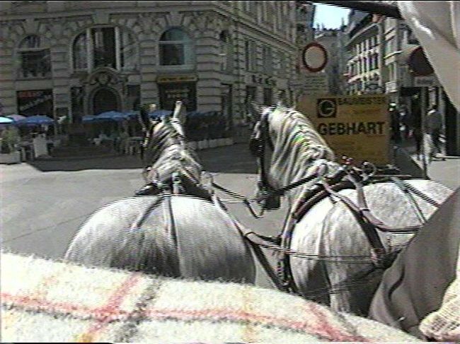 「どこに行ってたの」。朝っぱらからの散歩を非難するかみさんに謝って、いそいで朝食を摂りに食堂へ走った。<br />季節のホワイトアスパラガスを食しながら「旅行から帰ったら、もう一度『第三の男』のビデオを見ることにしよう」と自分をなぐさめた。<br /><br />