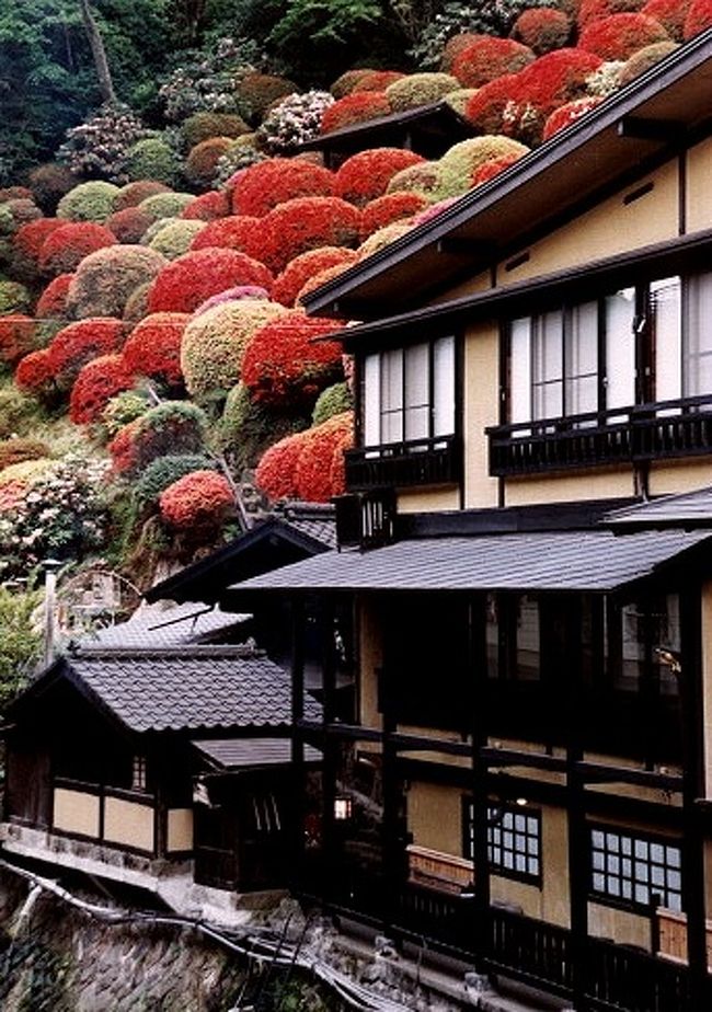 つつじ咲く黒川温泉