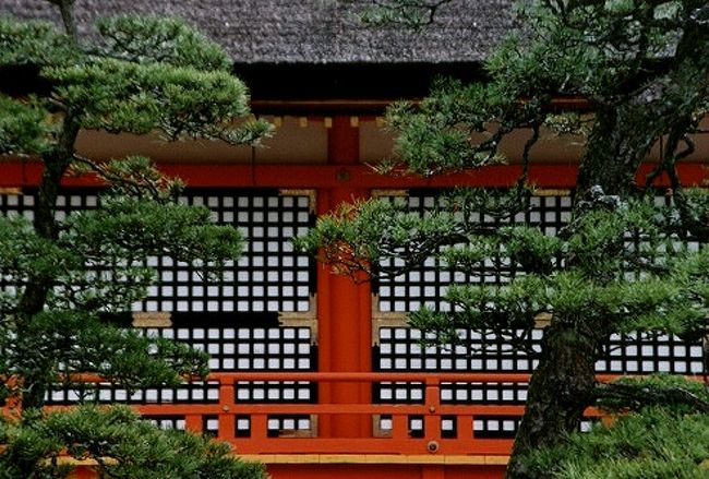 神社の赤と緑の松