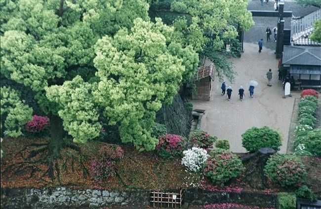 熊本城、新緑の頃。