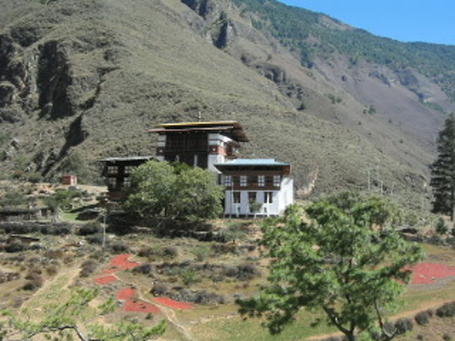 ガイドと運転手と落合、<br />首都ティンプーへ２時間のドライブ。<br />赤いのはブータン料理には欠かせないとうがらし。