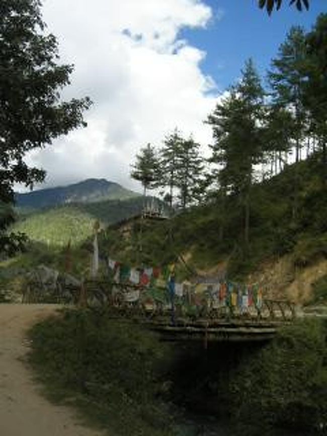 散歩好きなので、ハイキングを予定に組み込んでもらい、2時間強。