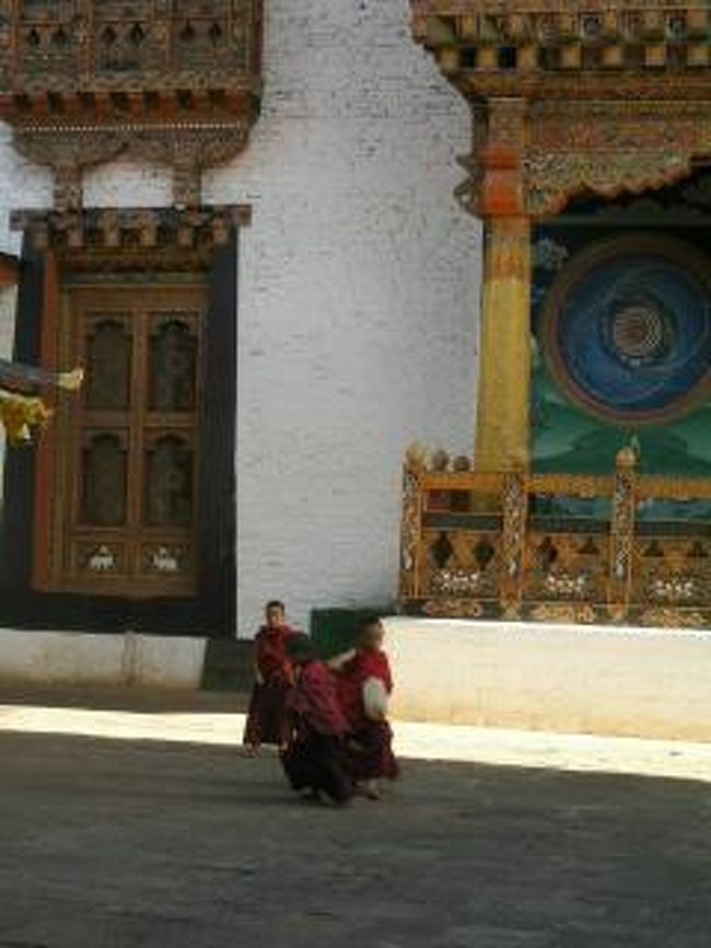 プナカゾン。<br />駆け回って遊ぶ僧たち。