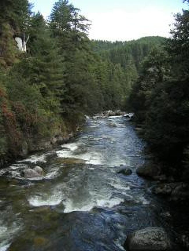 ハイキング中。