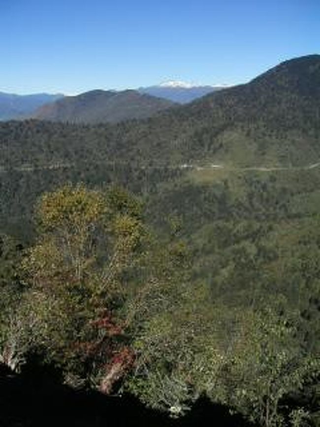 6日目。ブムタンから戻る途中。<br />事故でもめている車両のせいで立ち往生。<br />とりあえず自分だけ徒歩で歩き出す。<br />（すぐに問題解決。）<br /><br />山国のブータンでは50ｍと直線が続くことはなく（全国で２個所くらいと思われる）、永遠といろは坂状態。<br />走り屋にはたまらない？<br />時速30〜40キロで運転。<br />ドライバーのフンツォ（22才）はとても安全運転で、<br />車酔いしなかっただけでなく長旅もそれほど疲れなかった。感謝。