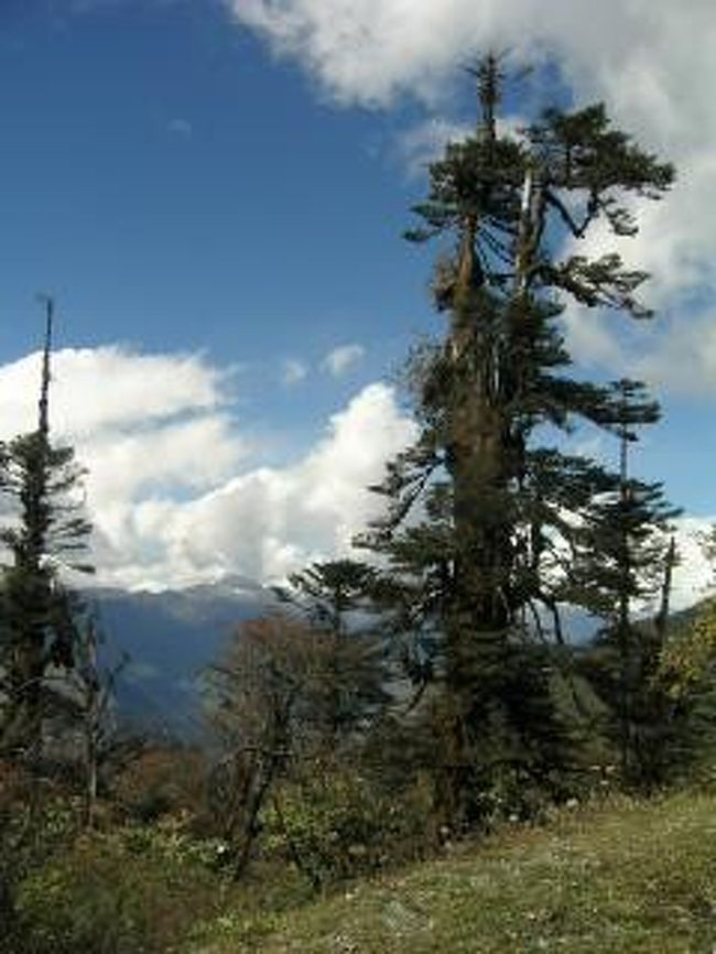 行きは霧っていたけど、快晴のヨトン・ラ（峠）。