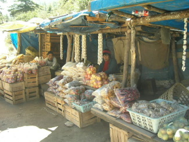 ７日目。<br />朝のうちティンプーへ。<br />ロードサイドの八百屋。<br />じつはいろいろあって、ガイドを変えてもらったのだけど、最後１日つきあってくれたOserはとても親切。<br />ここで山ほどりんごを買って、土産に持たせてくれた。