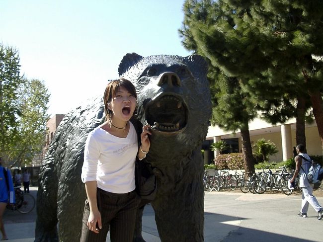 UCLAベアー<br />