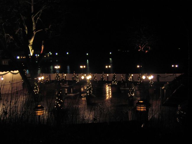 レストランの庭。<br />この光に少し救われた☆