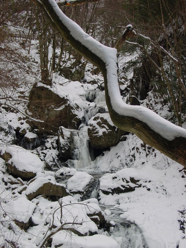 車を滝口の駐車場にとめ、林道をテクテク歩いてゆくと、ようやく右手に沢が見えてきました。所どころ凍っています。