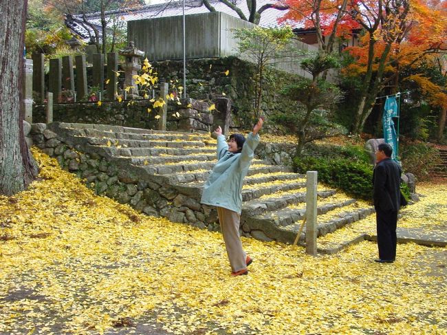 落ち葉遊び・・・<br />