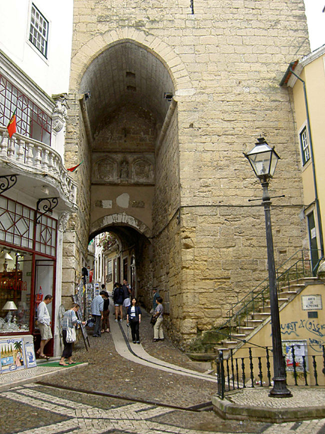 大学へ向かう路地