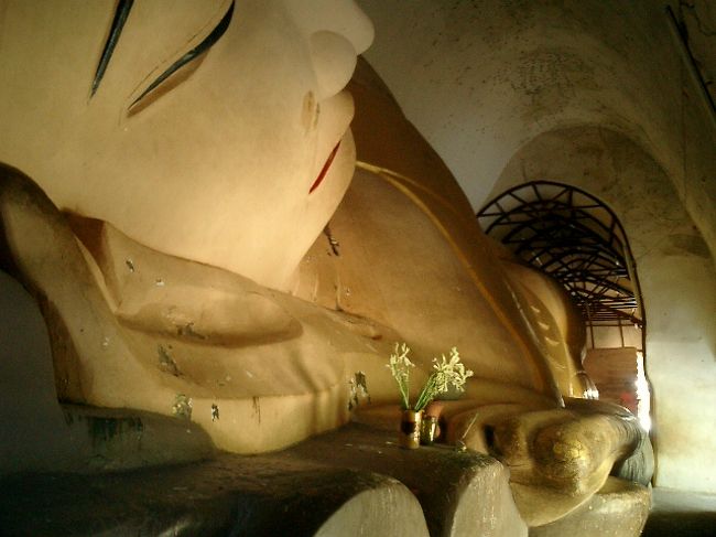 中から見たところです。