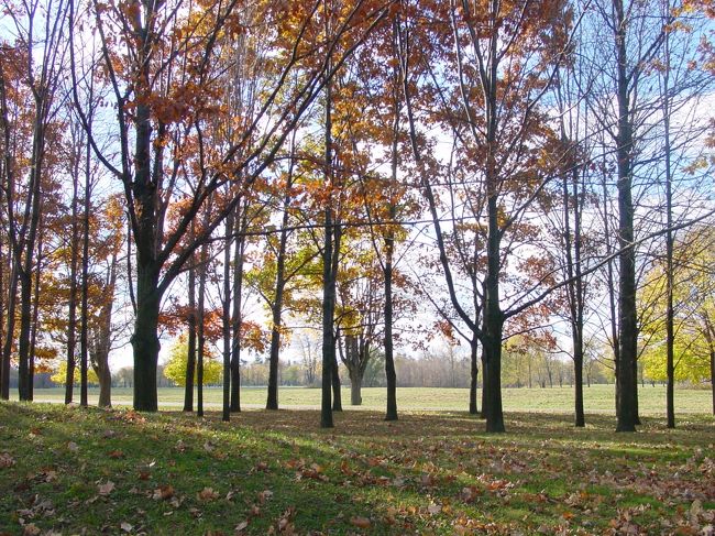 気持ちのいい散歩道がどこまでも続いていました。いつまでもいつまでもそこに居たかったです。