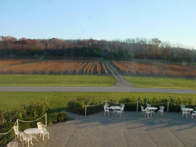 途中、とあるワイナリーに立ち寄りアイスワイン、白ワイン、赤ワインの試飲をしました。私の口には赤ワインがあいました。１０ドルの赤ワインを購入。安く付く味覚で良かったです。アイスワインは赤ワインよりも少量で、５０ドル位します。食前酒として盃にちょっと飲むものだそうです。かなり甘いです。母が飲めないと言うので、私が母の分をすべて飲み干しました。いい気分でバスに戻り、それと時差ぼけも重なり・・帰り道はお昼寝タイム。極楽極楽！