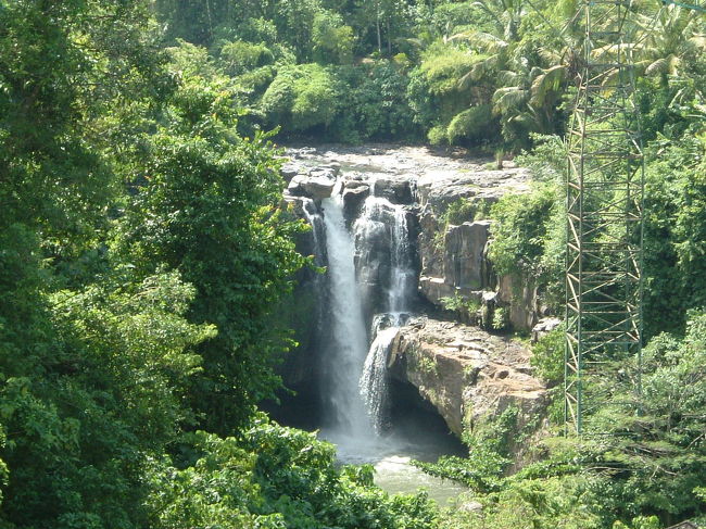 ライステラスを見てきました。大変美しい風景でした。