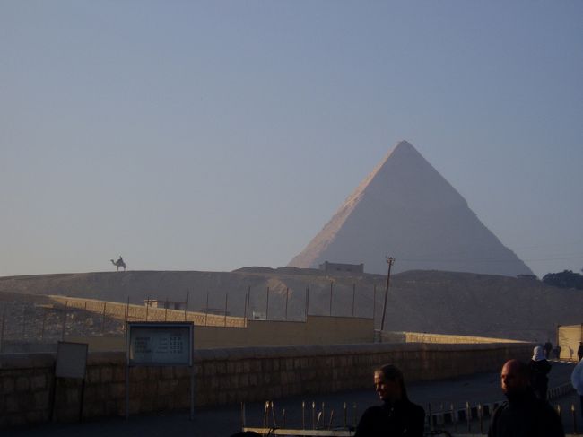 エジプトといえばやはりこれでしょう。朝一番に並んでピラミッドの中に入りました。迷宮のようになっているのかと思っていましたが、そんなことはありませんでした。