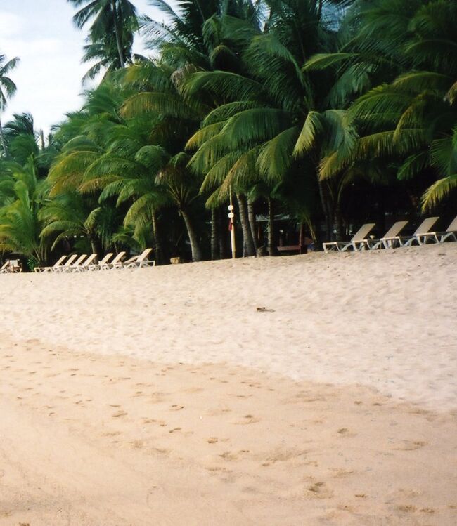 ホテルのビーチはあまり泳ぐ人もいません。<br />水が汚いわけではないけれど、そんなにきれいではありませんでした。プールの方が魅力的だからかな？