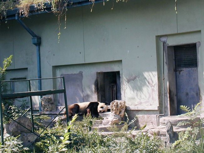 北京007北京動物園と市街西部 ～「パンダ」と出合う北京【白地図