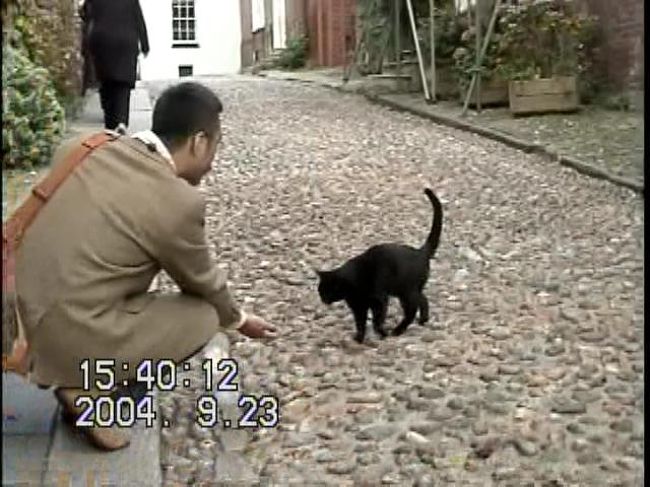 今までいくつかのアジアとヨーロッパの街を旅してきましたが、ライに来て一番驚いたのは猫がたくさんいること。そして人なつっこい！<br />猫好きのねごやんとうずらとしては、なでたり写真やビデオを撮ったり、うれしい限り。<br /><br />でも、この人なつっこさはちょっと異常だよ。何かウラがあるのでは？<br />萩原朔太郎の小説『猫町』ってこんなカンジ？！<br /><br />ということで、『猫町』風にライの町を眺めてみました。<br />