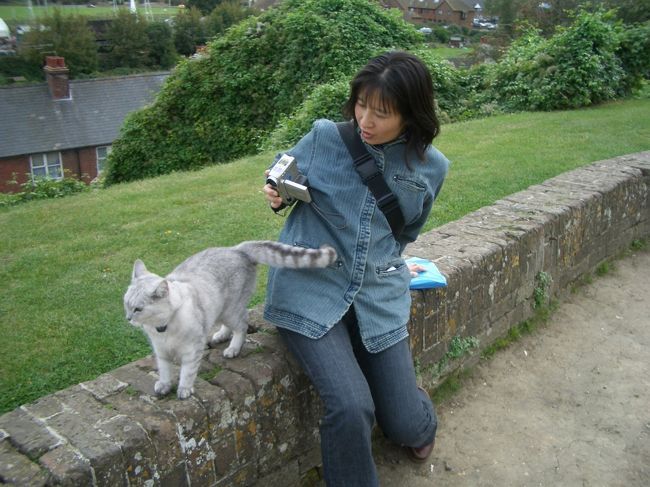 聖メアリー教会前の広場には、アメショーが混ざったきれいな猫が。<br /><br />喜んで撮影していると寄ってきて、なんとお尻で臭いをつけられてしまった〜。私はアンタの所有物じゃないっちゅうの！<br />（注.オス猫は自分の縄張りや所有物に、匂い付けをします）<br /><br />