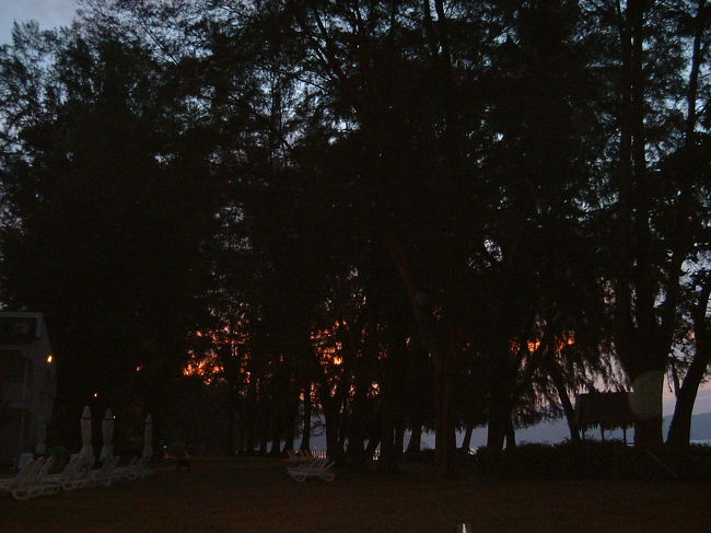 夕暮れにビーチから撮ったローンパインの様子です。