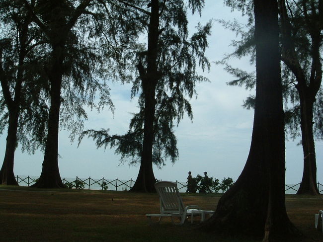 ローンパインの敷地から望む海です。大きな庭にはハンモックがあり、心地よい風と海の音がほんとうに気持ちを大きくしてくれました。　でも・・・ちょっぴり波を確認したりして・・余震の心配が頭をかすります。