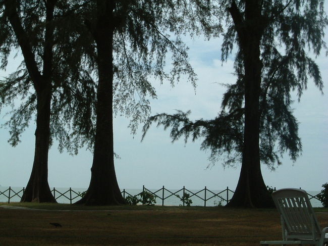ローンパインの敷地から望む海