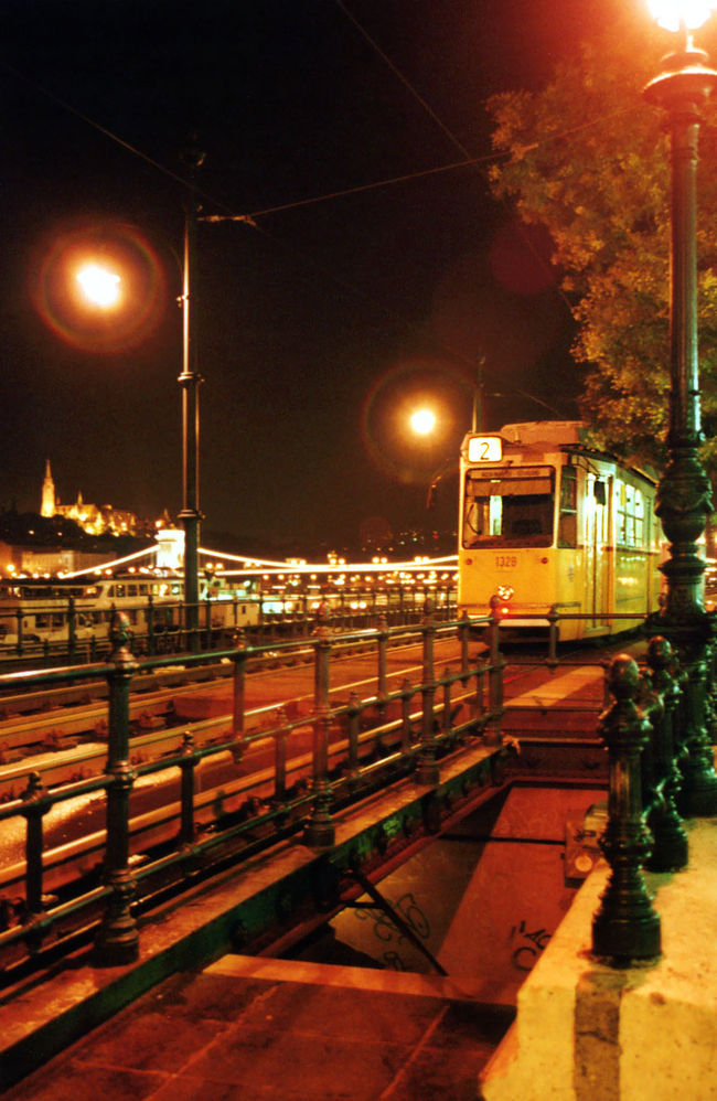 ドナウ川沿いのトラム<br />ホテル到着後、とりあえず夜景を見にドナウ川沿いを歩きました。