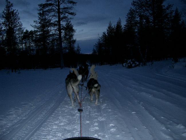 それ引っ張れ。ＫＥＥＰ　ＧＯＩＮＧ！！