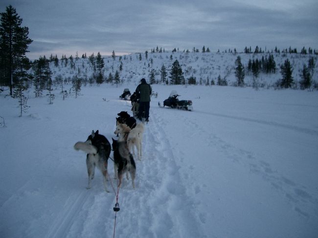 しばしの休憩！