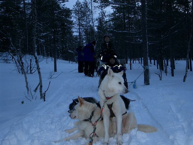 ちょっと暗くて分かりませんが、犬と僕たちです。この休憩後に、左の白い犬が仲間５匹と乱闘騒ぎになり、白い雪が鮮血に染まってしまいました。結局、負傷した犬は置き去りにし、残り５頭で走ることに・・・！！