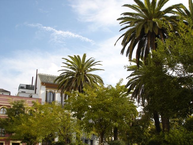 アンダルシアっぽーい。