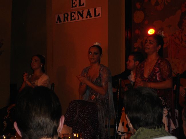 フラメンコを見ずして、スペインいけず。