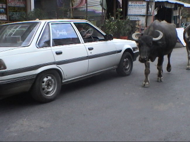 すれ違う。。。