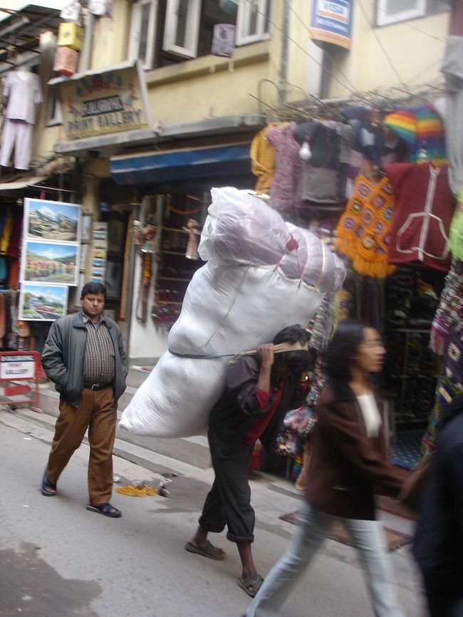 担ぎやさん（タメール）<br /><br />●くゥ〜。