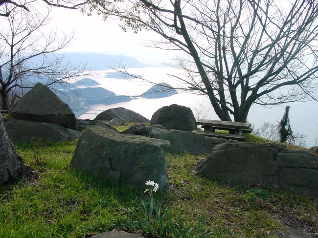 山頂は歩きやすい遊歩道が続き、ところどころにベンチがありました。紫陽花や桜が沢山ありました。春に見るとまさに紫雲出山になるのでしょうね。季節の花々もいつか見に行ってみたいです。